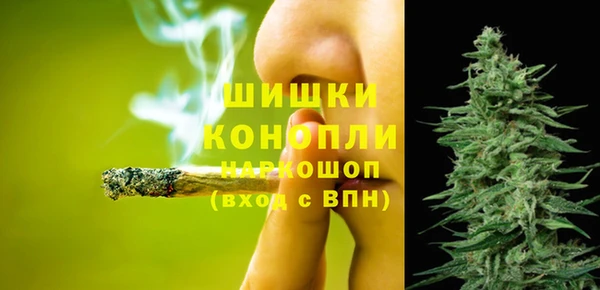 дурь Богородицк