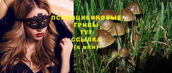 прущая мука Богородск