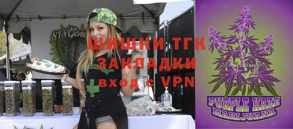 дурь Богородицк