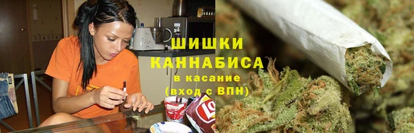 дурь Богородицк